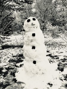 A Texas snowman